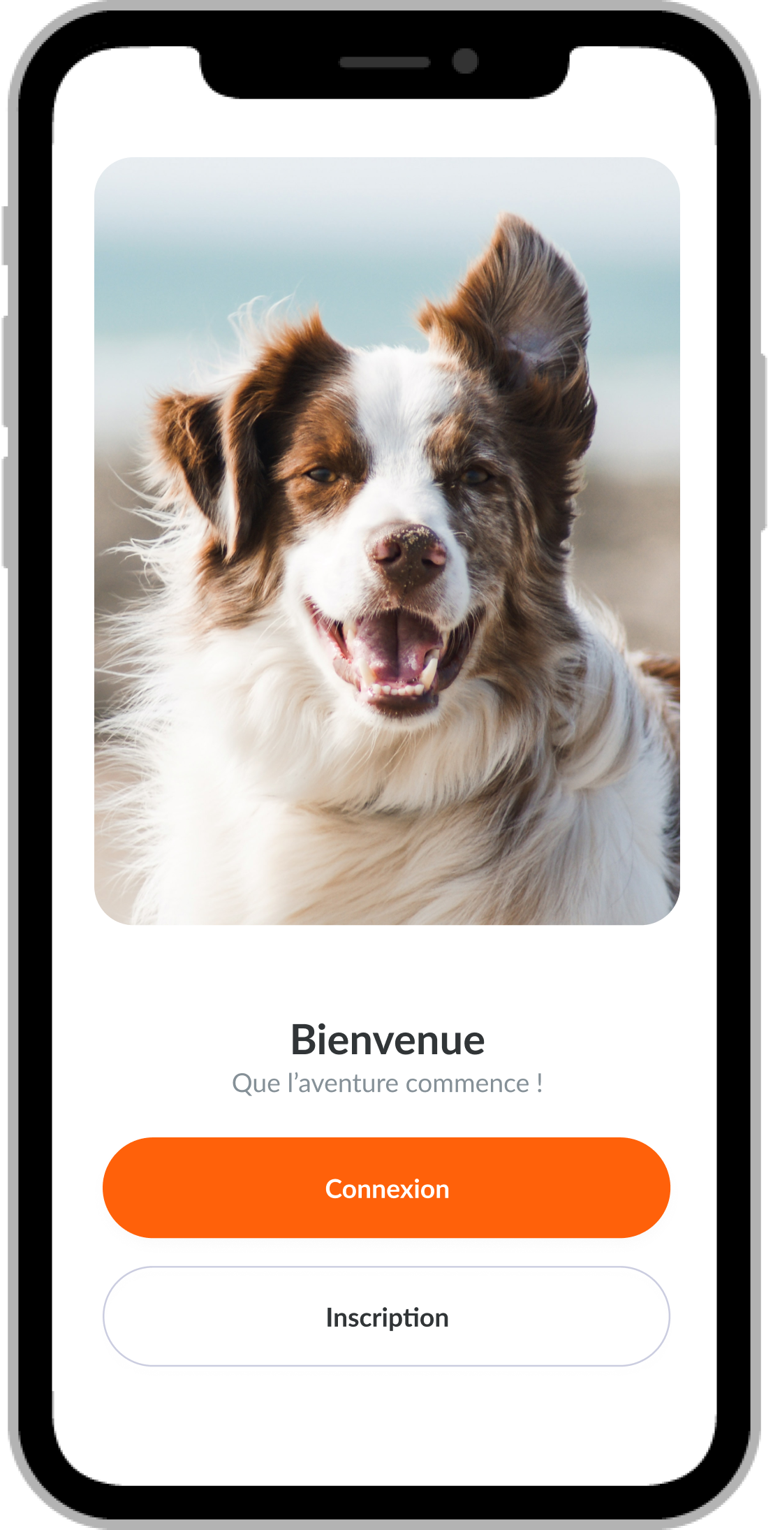 mockup_app_bienvenue