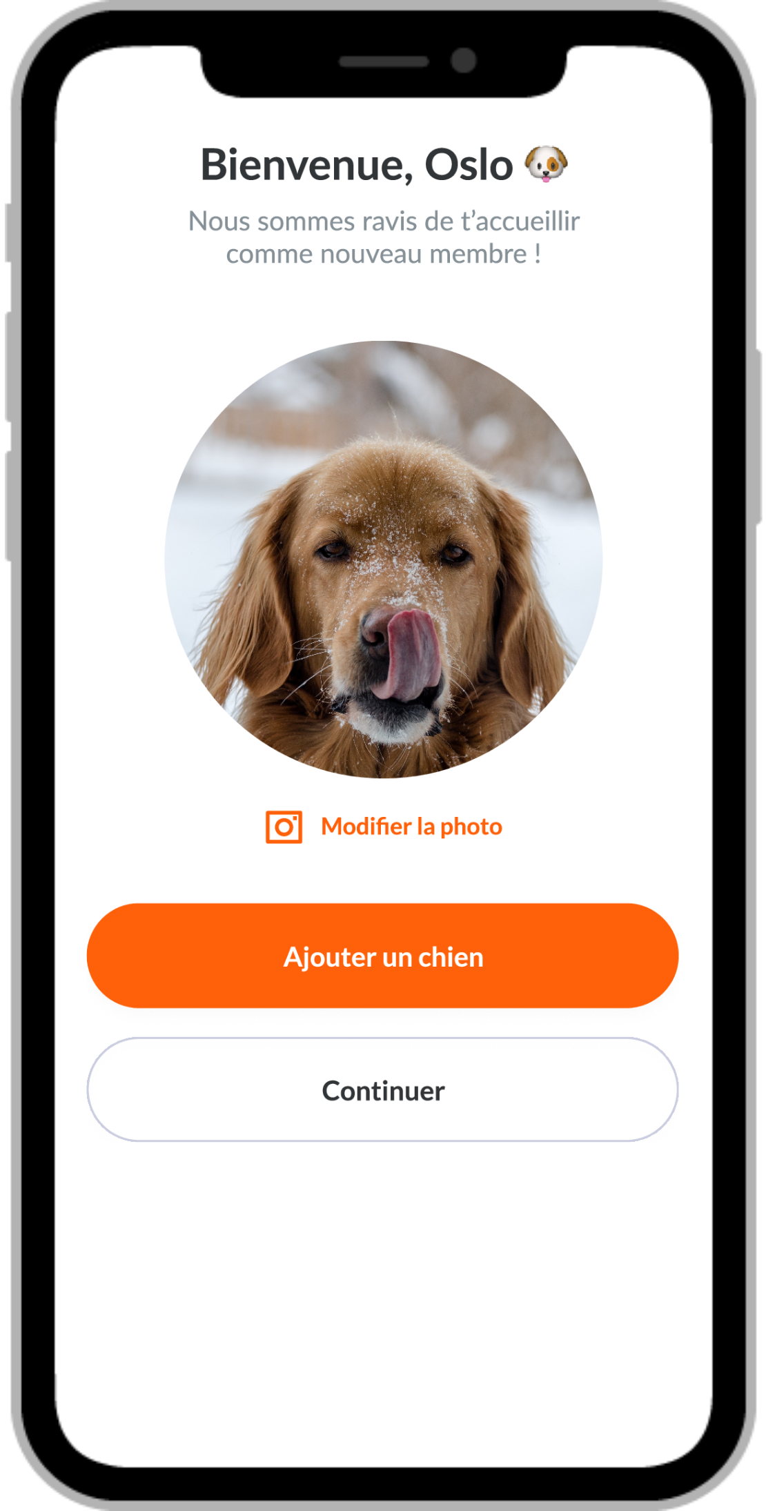 écran_accueil_mapets